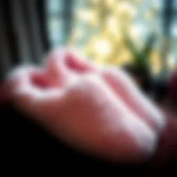 The Allure of Sexy Slippers: A Comprehensive Exploration Introduction