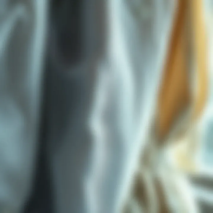 Translucent Elegance: Sheer Fabric Details Close-up of sheer fabric showcasing texture and translucency