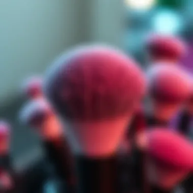 Notable The Comprehensive Guide to Powder Puff Brushes