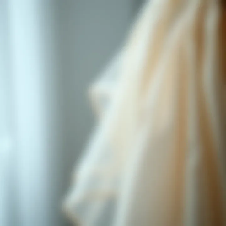 Delicate Fabric Details of Ballet Dress Close-up of fabric showcasing delicate ballet dress details