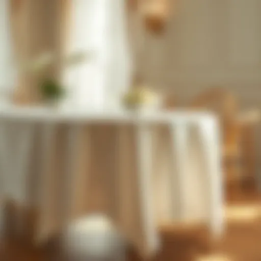 The Essence of a Plain Tablecloth: An Exploration Introduction