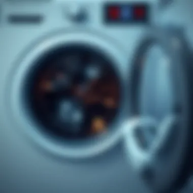 Washing Machine Delicate Cycles A washing machine displaying various cycles for delicate items
