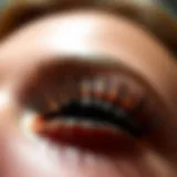 The Intricacies of Short False Eyelashes Introduction