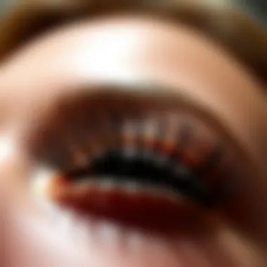 The Intricacies of Short False Eyelashes Introduction