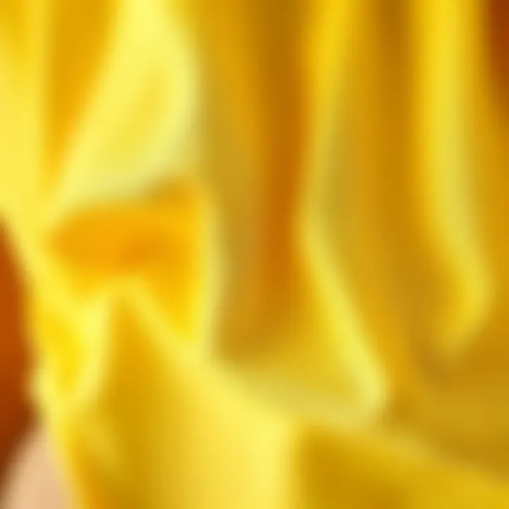 Intricate Fabric Texture of Lemon Swimsuit Close-up of lemon fabric texture and pattern