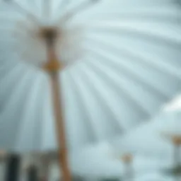 The Multifaceted Appeal of White Paper Parasols Introduction