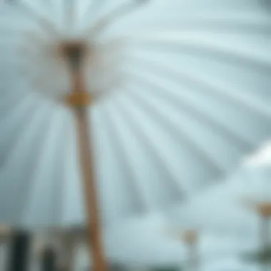The Multifaceted Appeal of White Paper Parasols Introduction The Multifaceted Appeal of White Paper Parasols Introduction