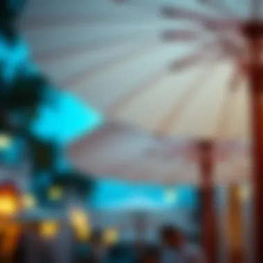 The Multifaceted Appeal of White Paper Parasols Summary The Multifaceted Appeal of White Paper Parasols Summary
