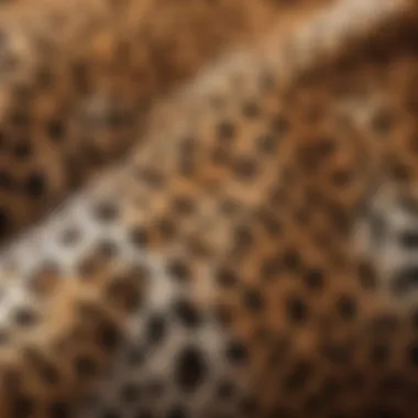 Close-up of leopard print fabric texture