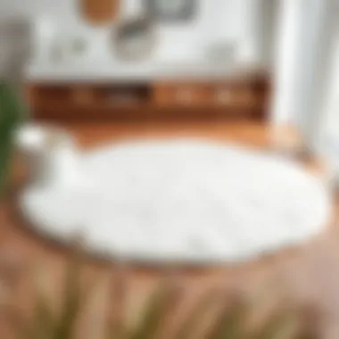 Elegant round white fluffy rug in a modern living room setting
