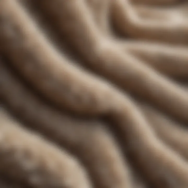 Close-up of sherpa fabric texture