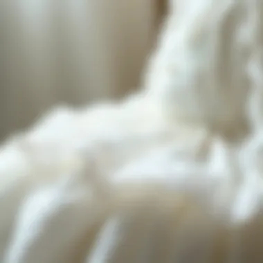 Exquisite Lace Embroidery on a Christening Gown Elegant christening gown adorned with lace and embroidery