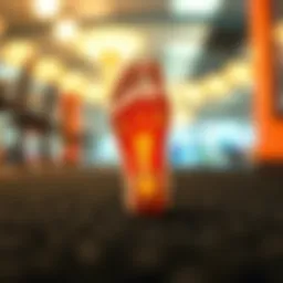 Foot anatomy illustration highlighting pressure points.