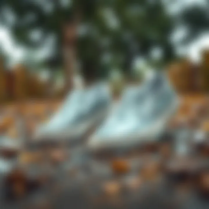 Stylish Design of Rainy Slip-On Shoes Stylish rainy slip-on shoes displayed in a natural outdoor setting